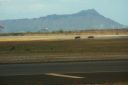 Hawaii2007-0386.jpg