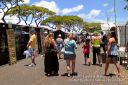 Oahu-085.jpg