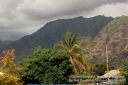 Oahu-101.jpg
