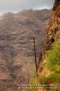 Oahu-105.jpg