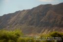 Oahu-107.jpg