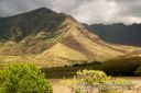 Oahu-110.jpg