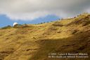 Oahu-112.jpg