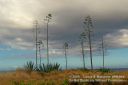 Oahu-139.jpg