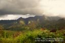 Oahu-140.jpg