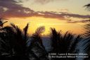 Oahu-142.jpg