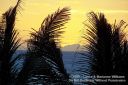 Oahu-143.jpg