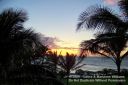 Oahu-144.jpg