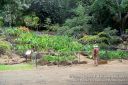 Oahu-156.jpg
