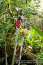 Oahu-163.jpg