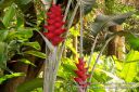 Oahu-164.jpg