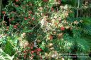 Oahu-169.jpg