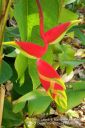 Oahu-176.jpg