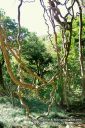 Oahu-177.jpg