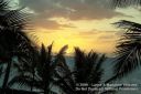 Oahu-216.jpg