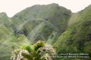 Oahu-225.jpg