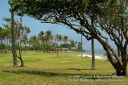 Filename=Oahu-247.jpg
Filesize=296KiB
Dimensions=800x533
Date added=Jun 01, 2012 Oahu-247.jpg