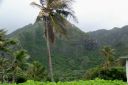 Oahu-100.jpg