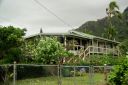Filename=Oahu-105.jpg
Filesize=413KiB
Dimensions=1201x800
Date added=Jun 10, 2012 Oahu-105.jpg