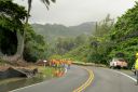 Oahu-131.jpg