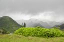 Oahu-133.jpg