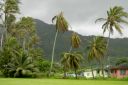Oahu-135.jpg