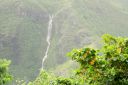 Oahu-142.jpg