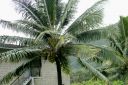 Oahu-149.jpg