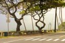Oahu-150.jpg