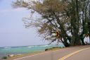 Oahu-154.jpg
