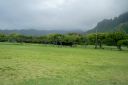 Oahu-172.jpg