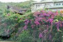 Oahu-182.jpg