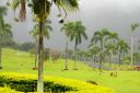 Oahu-190.jpg