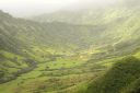Oahu-254.jpg