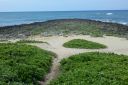 Oahu-334.jpg
