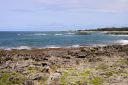 Oahu-336.jpg