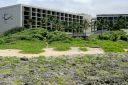 Oahu-339.jpg