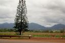 Oahu-433.jpg