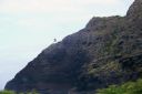 Oahu-482.jpg