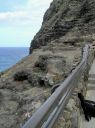 Oahu-500.jpg