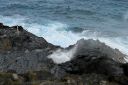 Oahu-510.jpg