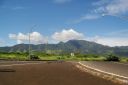 Oahu-557.jpg