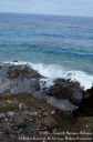 Oahu2015-089.jpg