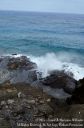 Oahu2015-090.jpg
