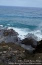 Oahu2015-093.jpg