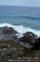 Oahu2015-094.jpg