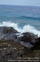 Oahu2015-096.jpg