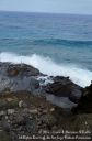 Oahu2015-097.jpg