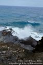 Oahu2015-102.jpg