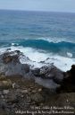 Oahu2015-103.jpg